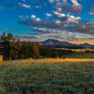 Meet your Posher, Benjamin